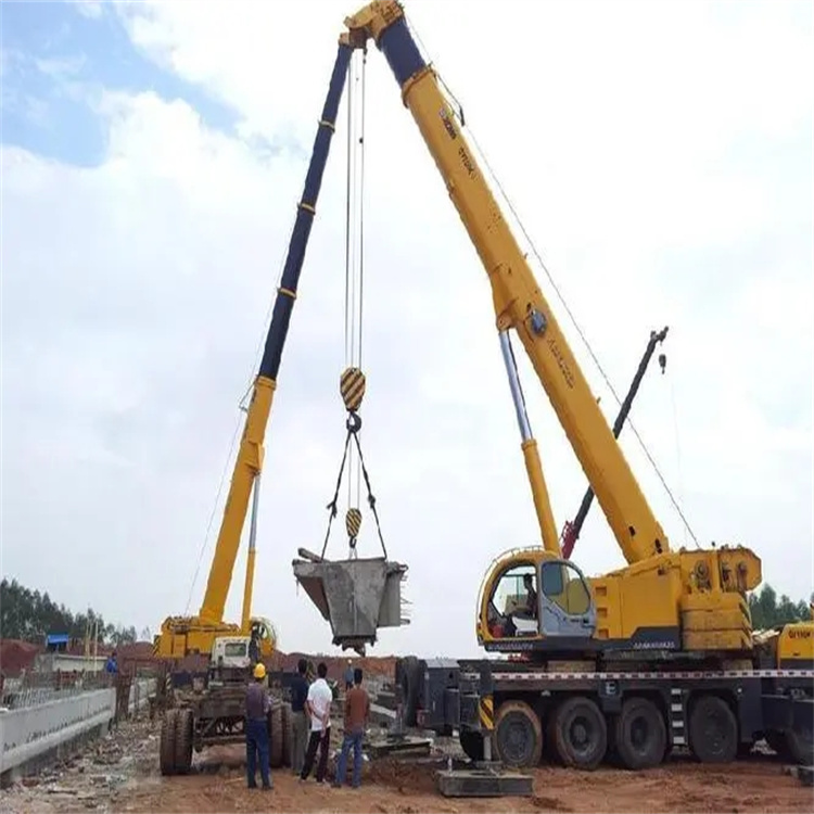 莘县小型吊机出租电话|厂房设备吊装方案|24小时服务覆盖